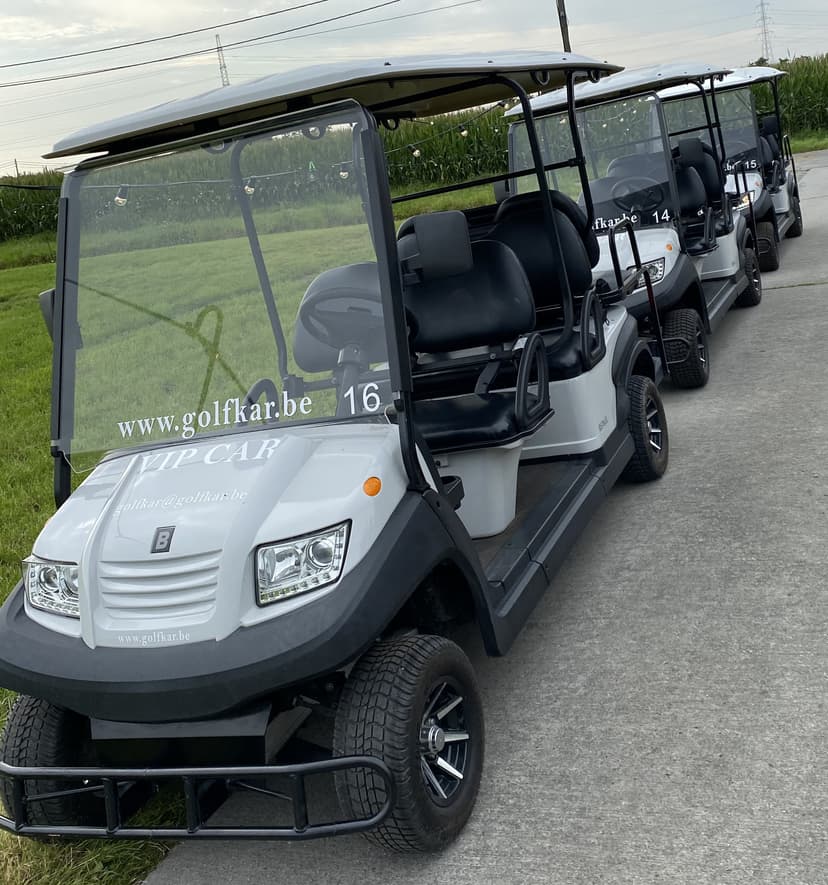Golfkarren voor mobiliteit
